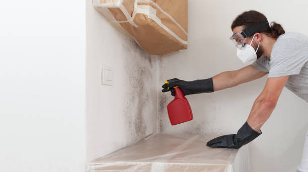 Professional Crawl Space Mold Removal technician working in Pinecliffe, CO